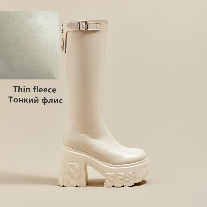 AIYUQI Women's Rider Boots 2025 New Platform High Heel Women Roman Boots Skinny Heel High 11cm Women's Long Boots