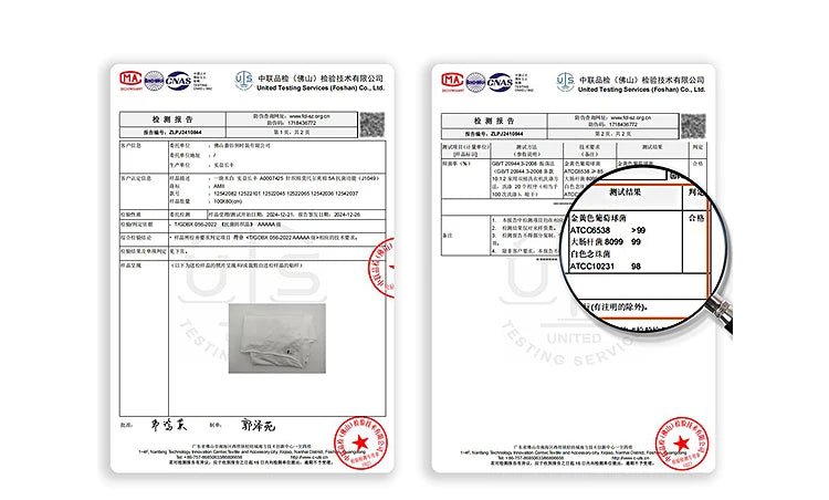 Damen T-Shirt mit Rundhalsausschnitt und gebrochenen Falten aus Modal-Baumwolle