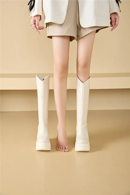 AIYUQI Western Cowboy Boots Women 2025 New Fashion High Heel Female Rider Boots 11cm Heel High Platform Skinny Boots Women