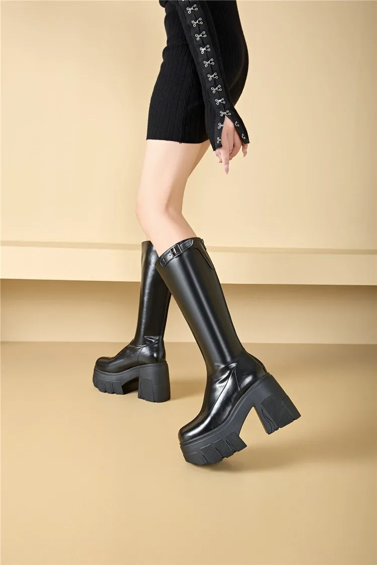 AIYUQI Women's Rider Boots 2025 New Platform High Heel Women Roman Boots Skinny Heel High 11cm Women's Long Boots