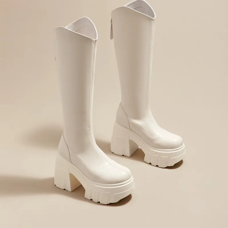 AIYUQI Western Cowboy Boots Women 2025 New Fashion High Heel Female Rider Boots 11cm Heel High Platform Skinny Boots Women