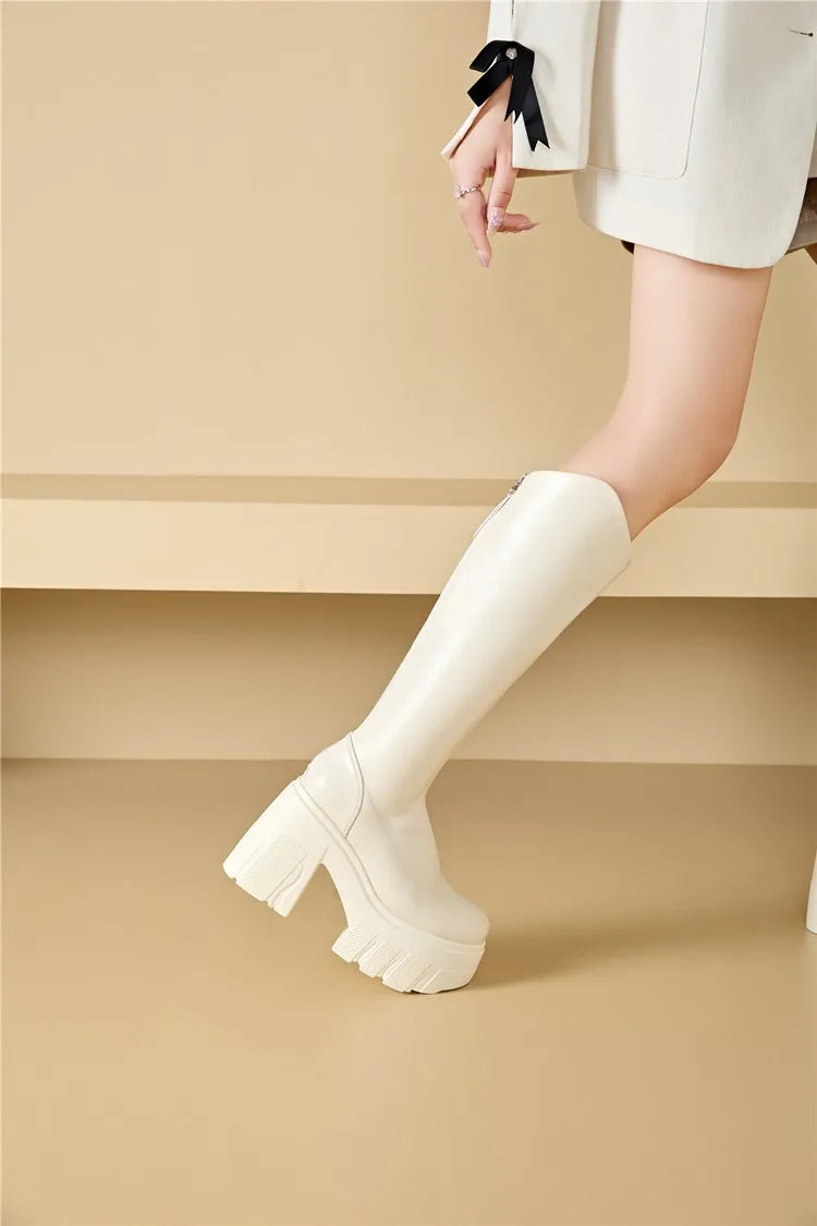 AIYUQI Western Cowboy Boots Women 2025 New Fashion High Heel Female Rider Boots 11cm Heel High Platform Skinny Boots Women