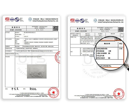 Damen T-Shirt-Rock Set mit solidem Swing-Kragen für den Sommer