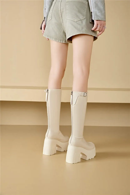 AIYUQI Women's Rider Boots 2025 New Platform High Heel Women Roman Boots Skinny Heel High 11cm Women's Long Boots
