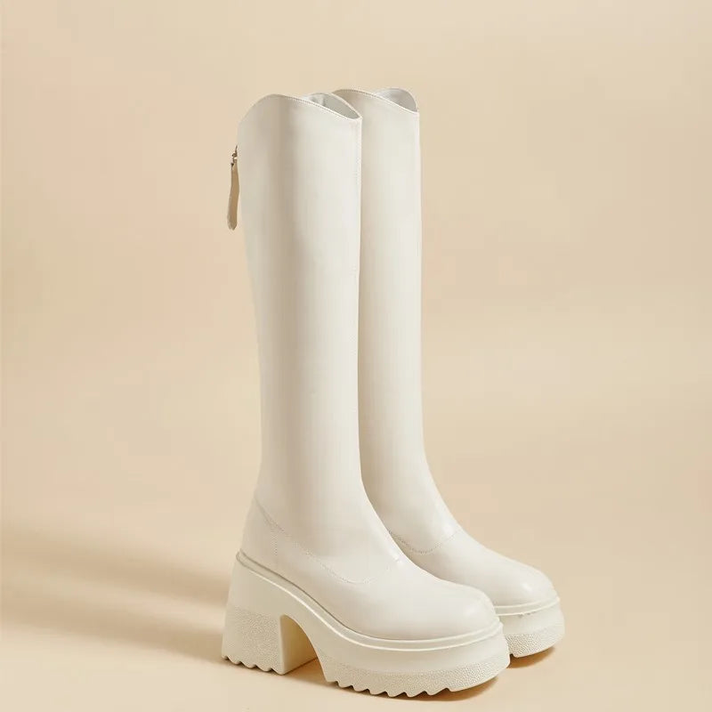 AIYUQI High Heel Boots Women Autumn 2025 New Genuine Leather Platform Boots Women Skinny Leg 10cm Heel High Female Rider Boots
