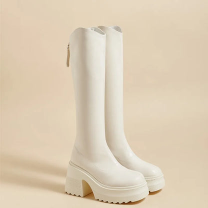 AIYUQI High Heel Boots Women Autumn 2025 New Genuine Leather Platform Boots Women Skinny Leg 10cm Heel High Female Rider Boots