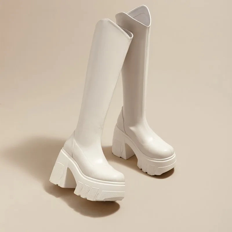 AIYUQI Western Cowboy Boots Women 2025 New Fashion High Heel Female Rider Boots 11cm Heel High Platform Skinny Boots Women