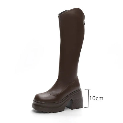 AIYUQI High Heel Boots Women Autumn 2025 New Genuine Leather Platform Boots Women Skinny Leg 10cm Heel High Female Rider Boots
