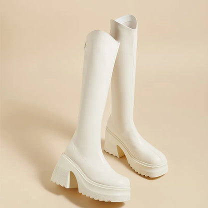 AIYUQI High Heel Boots Women Autumn 2025 New Genuine Leather Platform Boots Women Skinny Leg 10cm Heel High Female Rider Boots