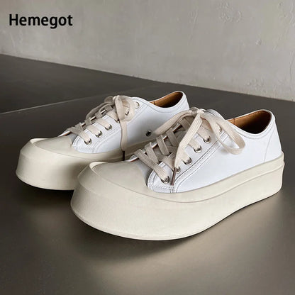 Stilvolle Herren-Schuhe aus Leder – klassisches Design & hoher Tragekomfort