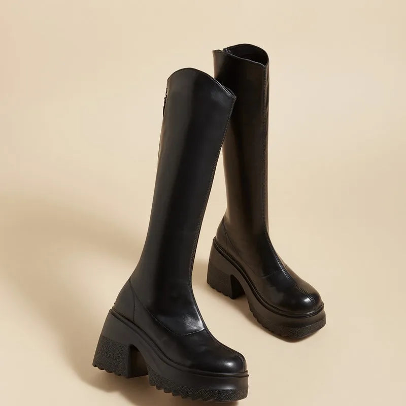 AIYUQI High Heel Boots Women Autumn 2025 New Genuine Leather Platform Boots Women Skinny Leg 10cm Heel High Female Rider Boots