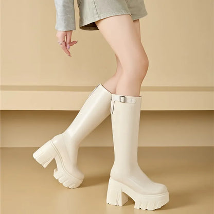 AIYUQI Women's Rider Boots 2025 New Platform High Heel Women Roman Boots Skinny Heel High 11cm Women's Long Boots