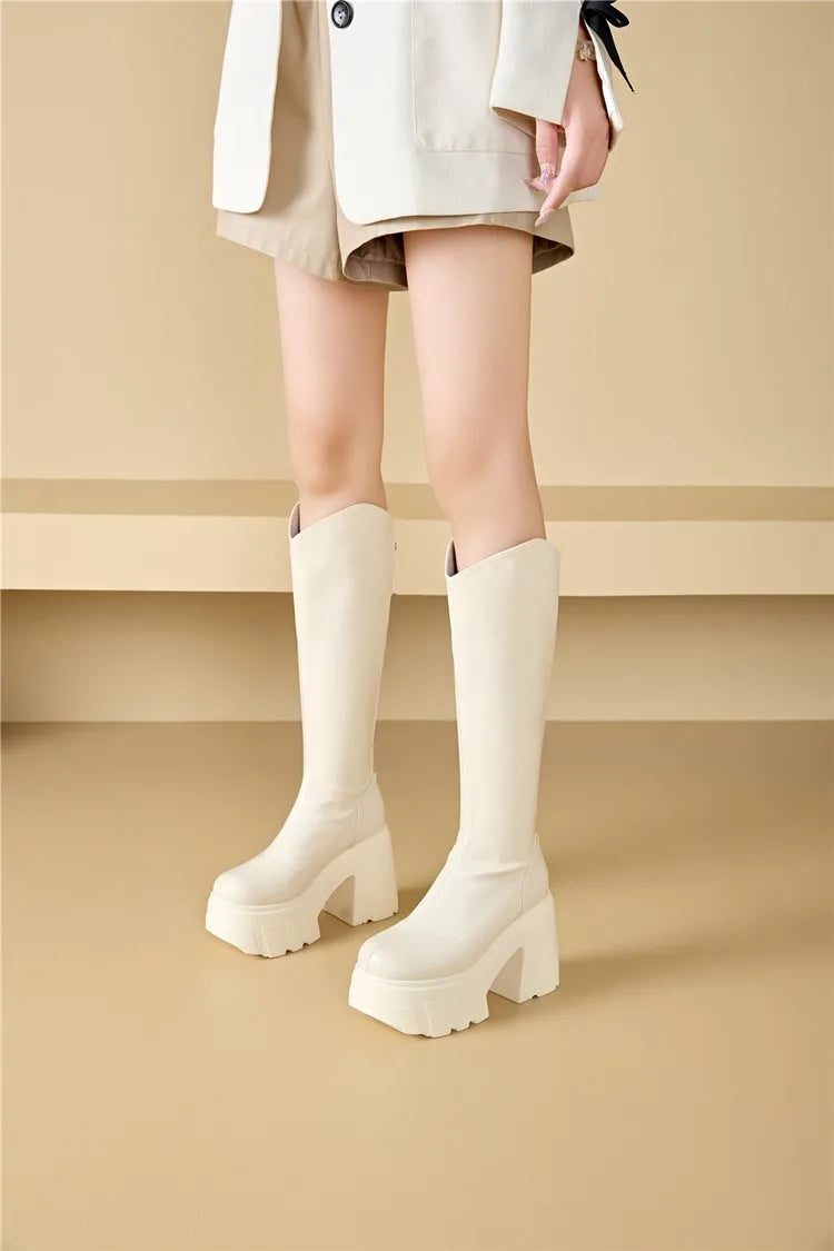 AIYUQI Western Cowboy Boots Women 2025 New Fashion High Heel Female Rider Boots 11cm Heel High Platform Skinny Boots Women