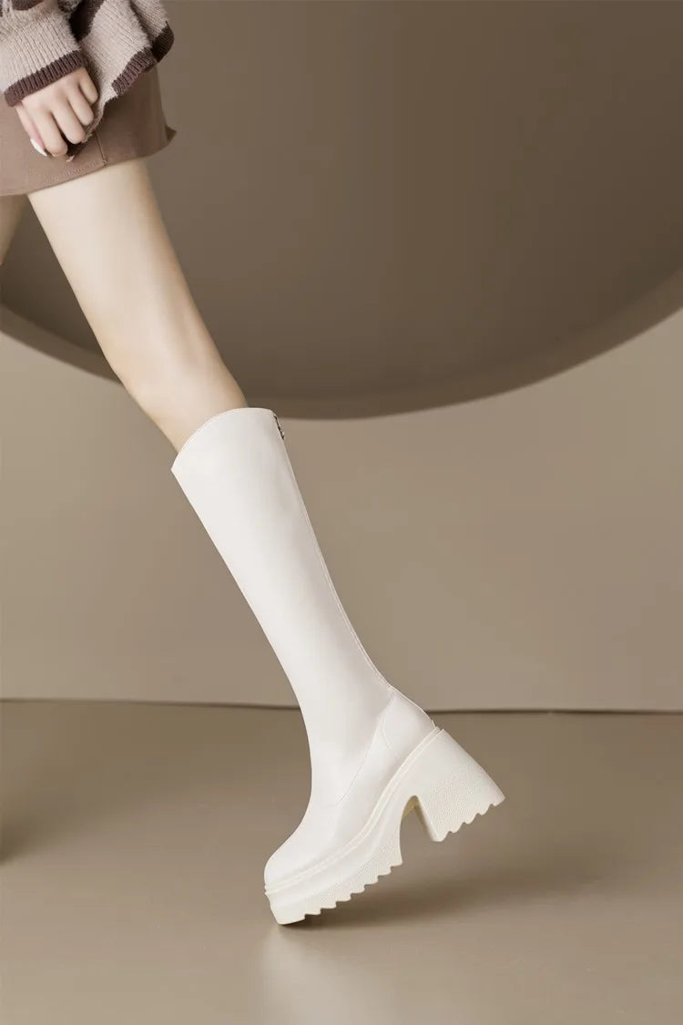 AIYUQI High Heel Boots Women Autumn 2025 New Genuine Leather Platform Boots Women Skinny Leg 10cm Heel High Female Rider Boots