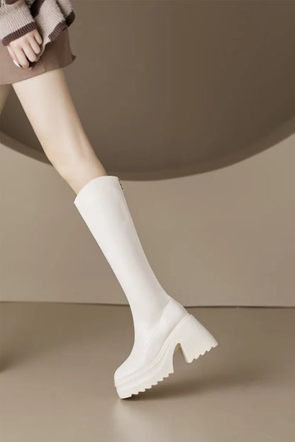 AIYUQI High Heel Boots Women Autumn 2025 New Genuine Leather Platform Boots Women Skinny Leg 10cm Heel High Female Rider Boots