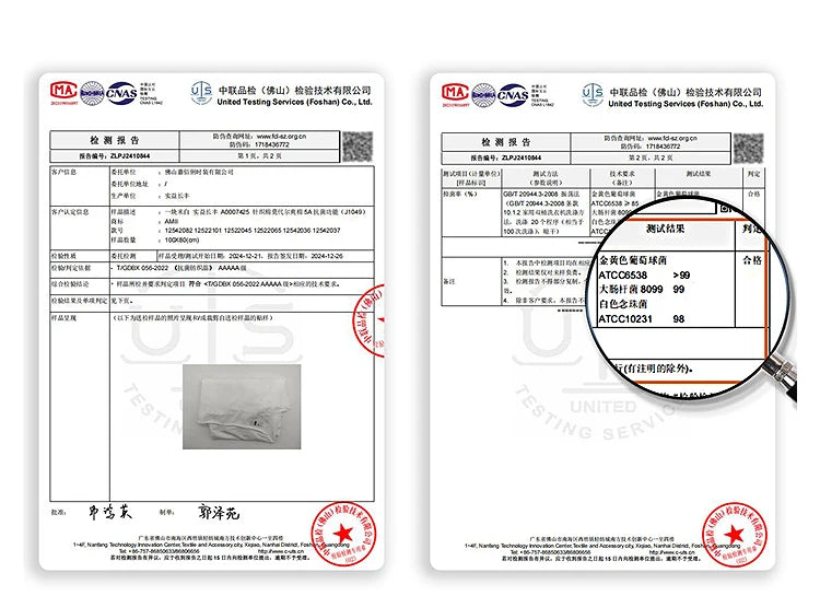 Damen T-Shirt im minimalistischen Sommerstil mit Rundhalsausschnitt und figurformendem Schnitt